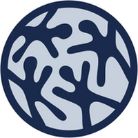 Logo for Network Stages